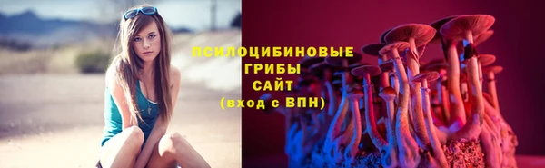 прущий лед Аркадак