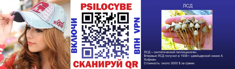 как найти закладки  kraken зеркало  Галлюциногенные грибы MAGIC MUSHROOMS  Славск 